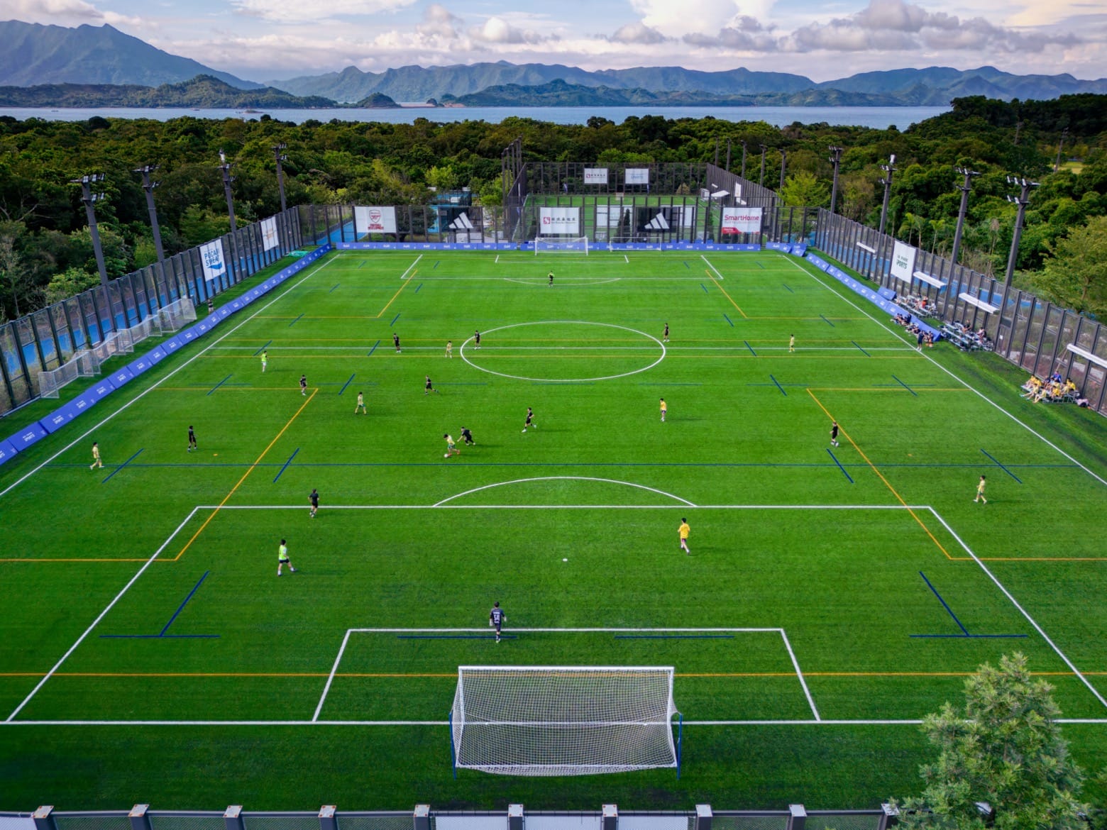 樊振东两度被上海记大功，王励勤力邀成就超级全满贯