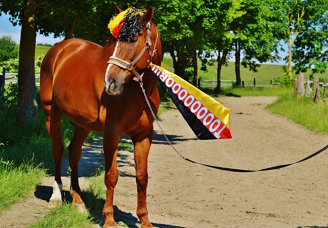 独木难支！约基奇包办掘金最后15分，空砍44+13+7